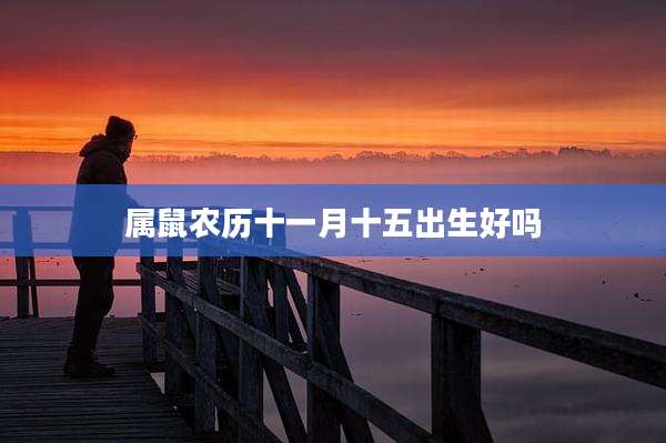 属鼠农历十一月十五出生好吗