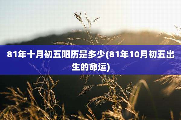 81年十月初五阳历是多少(81年10月初五出生的命运)