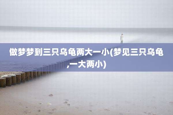 做梦梦到三只乌龟两大一小(梦见三只乌龟,一大两小)