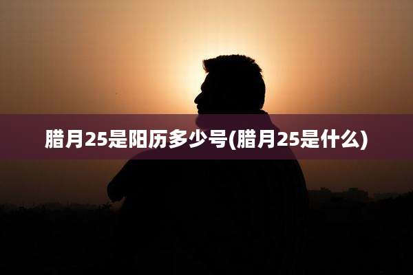 腊月25是阳历多少号(腊月25是什么)