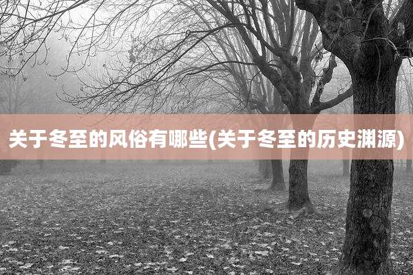 关于冬至的风俗有哪些(关于冬至的历史渊源)