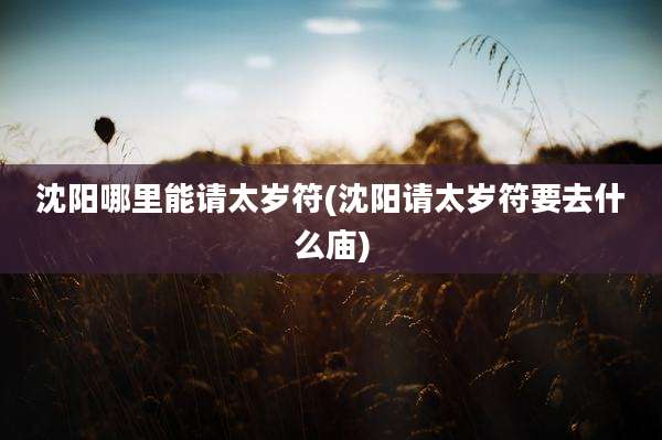 沈阳哪里能请太岁符(沈阳请太岁符要去什么庙)