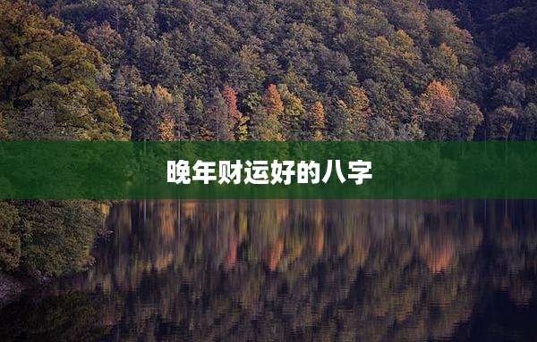 晚年财运好的八字