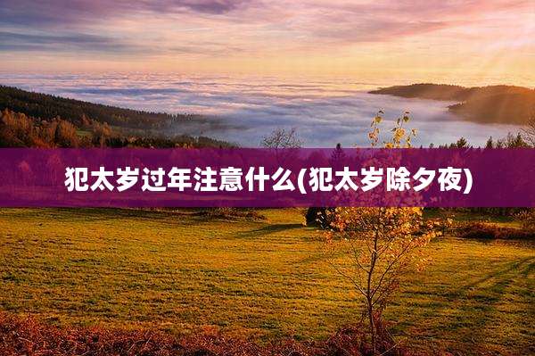犯太岁过年注意什么(犯太岁除夕夜)