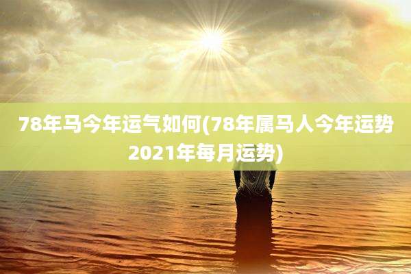78年马今年运气如何(78年属马人今年运势2021年每月运势)