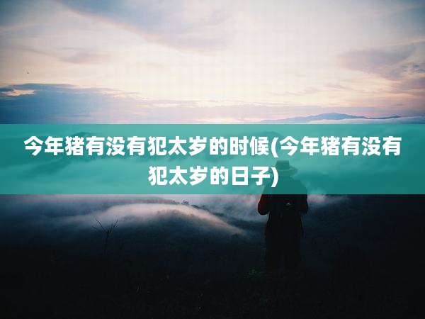 今年猪有没有犯太岁的时候(今年猪有没有犯太岁的日子)