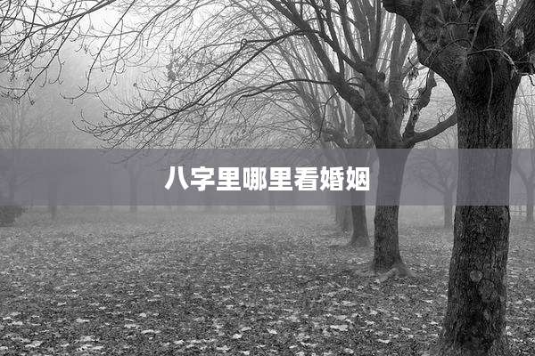 八字里哪里看婚姻