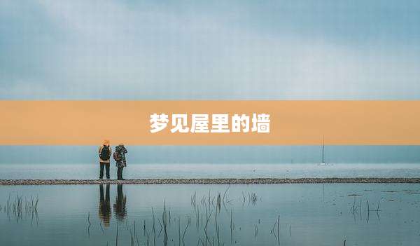 梦见屋里的墙