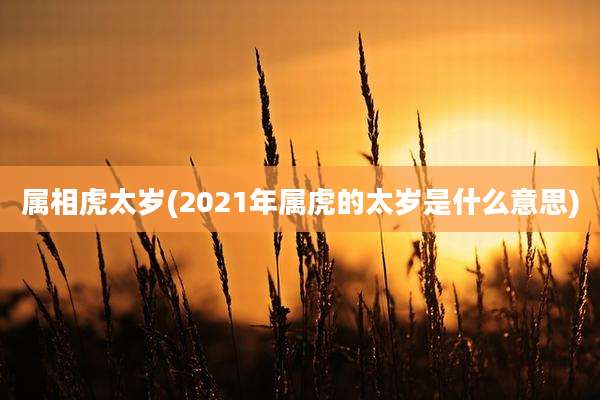 属相虎太岁(2021年属虎的太岁是什么意思)