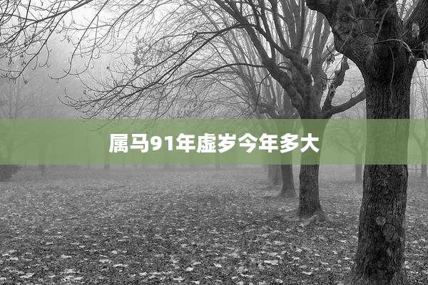 属马91年虚岁今年多大
