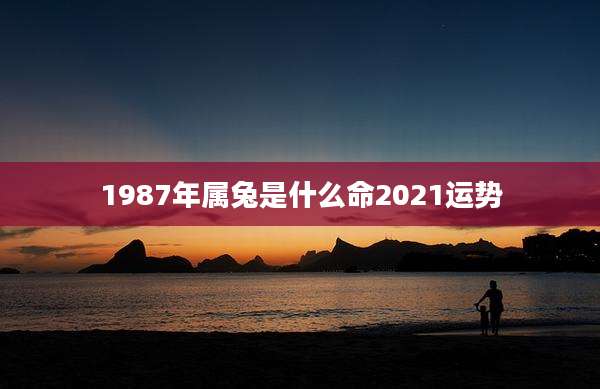 1987年属兔是什么命2021运势