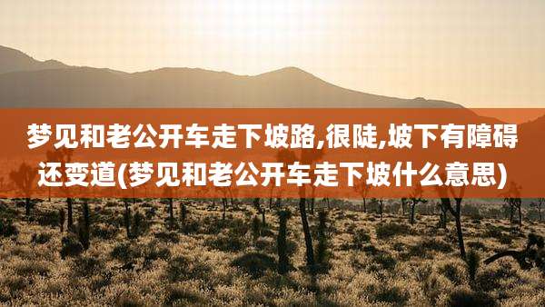 梦见和老公开车走下坡路,很陡,坡下有障碍还变道(梦见和老公开车走下坡什么意思)