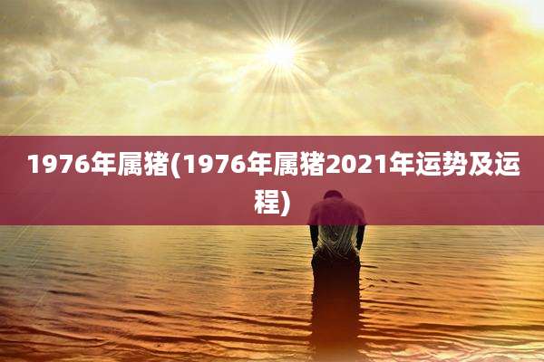 1976年属猪(1976年属猪2021年运势及运程)