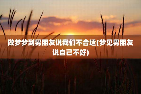 做梦梦到男朋友说我们不合适(梦见男朋友说自己不好)