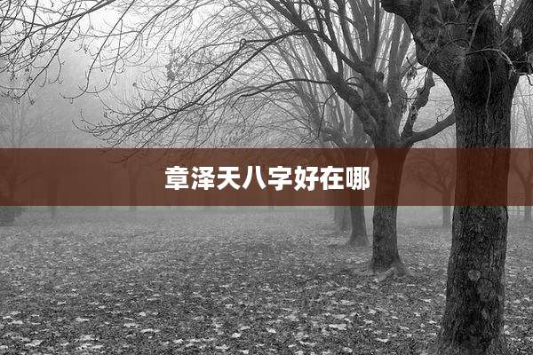 章泽天八字好在哪