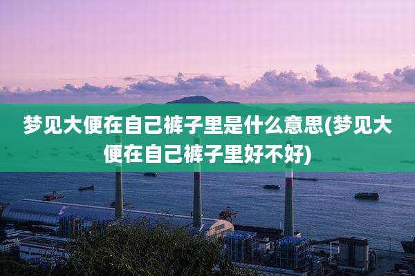 梦见大便在自己裤子里是什么意思(梦见大便在自己裤子里好不好)