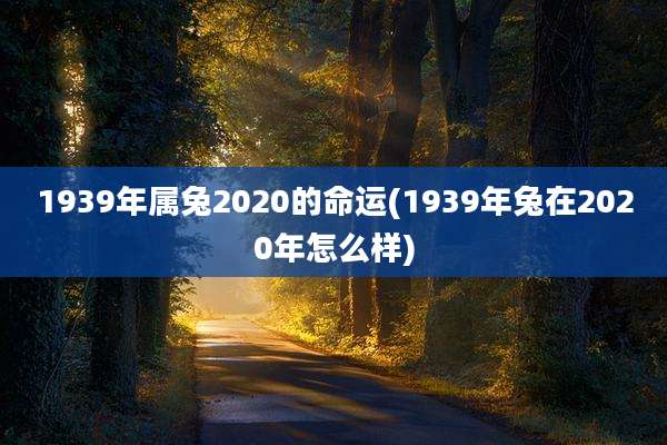 1939年属兔2020的命运(1939年兔在2020年怎么样)