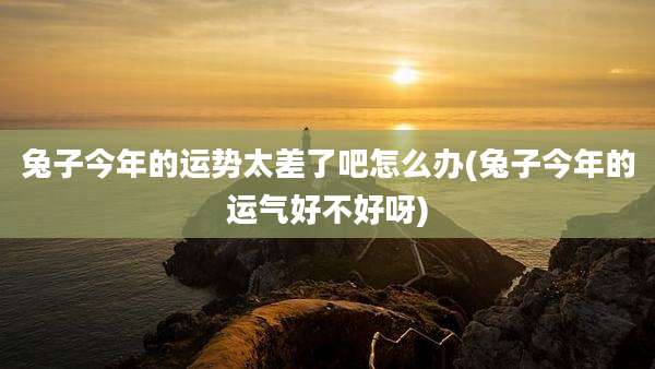 兔子今年的运势太差了吧怎么办(兔子今年的运气好不好呀)