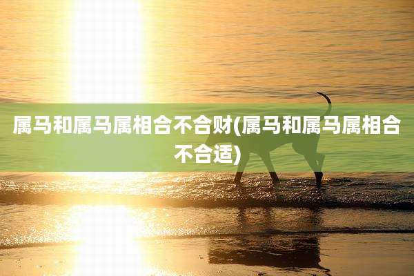 属马和属马属相合不合财(属马和属马属相合不合适)