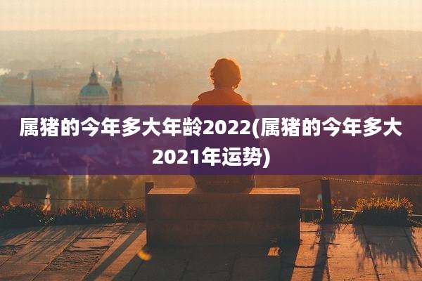 属猪的今年多大年龄2022(属猪的今年多大2021年运势)