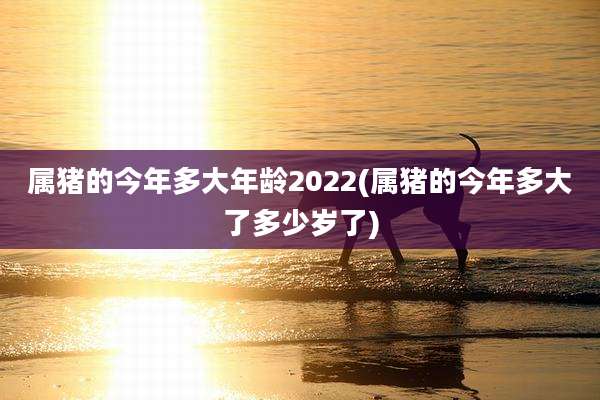 属猪的今年多大年龄2022(属猪的今年多大了多少岁了)