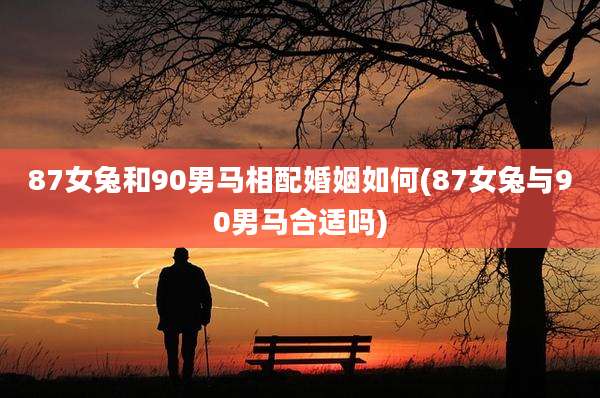 87女兔和90男马相配婚姻如何(87女兔与90男马合适吗)