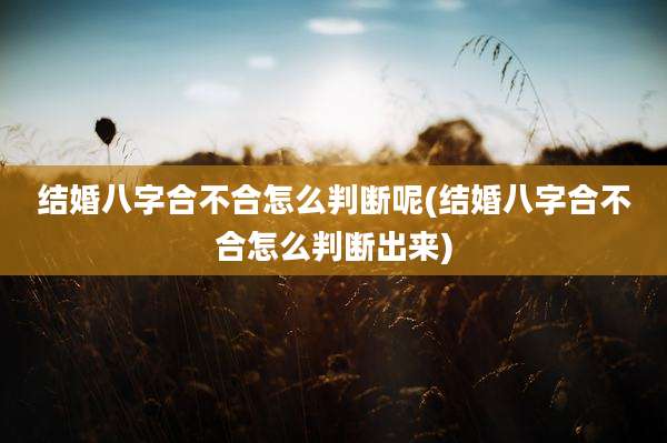 结婚八字合不合怎么判断呢(结婚八字合不合怎么判断出来)
