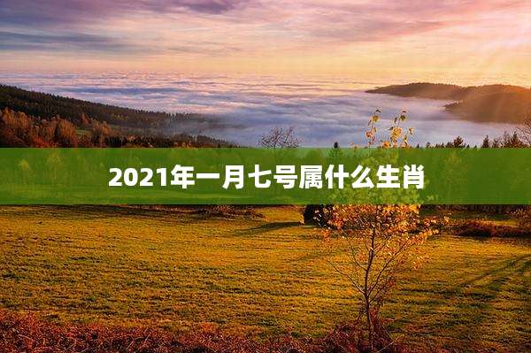 2021年一月七号属什么生肖