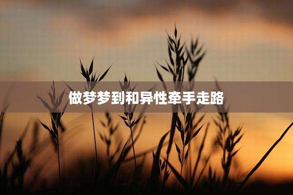 做梦梦到和异性牵手走路