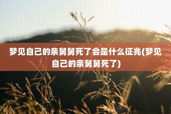 梦见自己的亲舅舅死了会是什么征兆(梦见自己的亲舅舅死了)