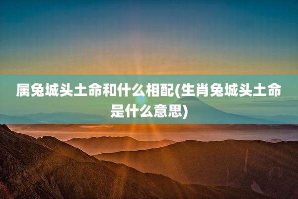 属兔城头土命和什么相配(生肖兔城头土命是什么意思)