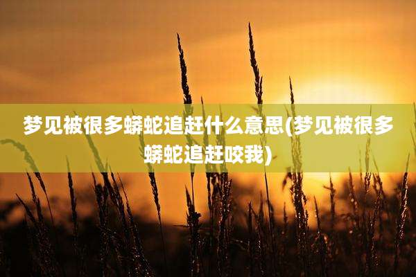 梦见被很多蟒蛇追赶什么意思(梦见被很多蟒蛇追赶咬我)