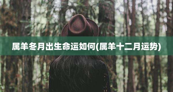 属羊冬月出生命运如何(属羊十二月运势)