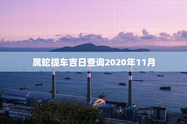 属蛇提车吉日查询2020年11月