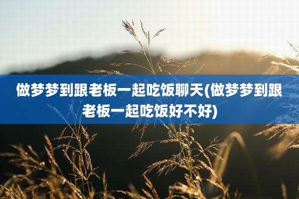 做梦梦到跟老板一起吃饭聊天(做梦梦到跟老板一起吃饭好不好)
