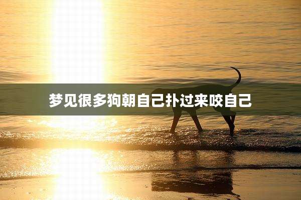 梦见很多狗朝自己扑过来咬自己
