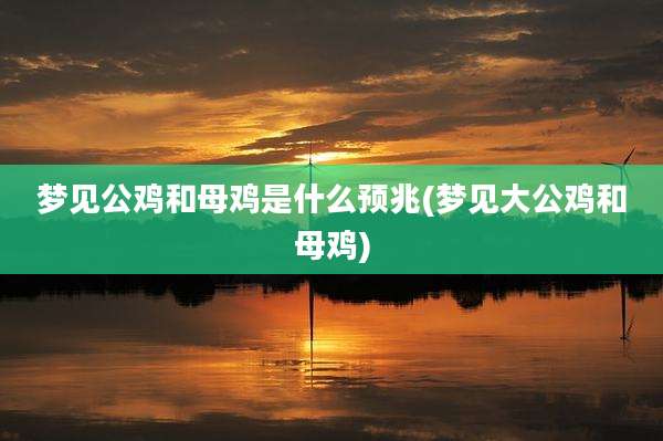 梦见公鸡和母鸡是什么预兆(梦见大公鸡和母鸡)