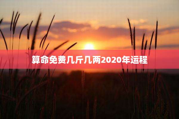 算命免费几斤几两2020年运程