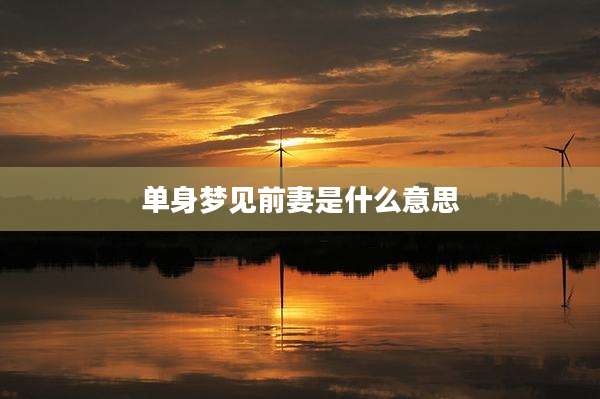单身梦见前妻是什么意思