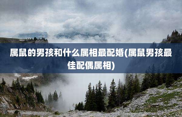 属鼠的男孩和什么属相最配婚(属鼠男孩最佳配偶属相)