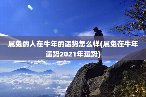 属兔的人在牛年的运势怎么样(属兔在牛年运势2021年运势)
