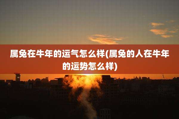 属兔在牛年的运气怎么样(属兔的人在牛年的运势怎么样)