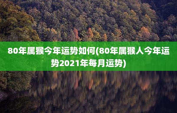 80年属猴今年运势如何(80年属猴人今年运势2021年每月运势)