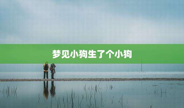 梦见小狗生了个小狗