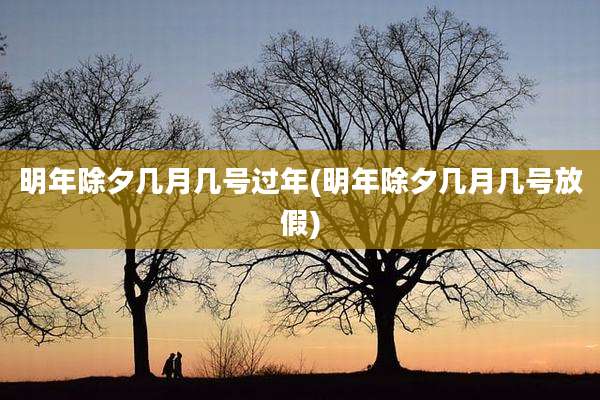 明年除夕几月几号过年(明年除夕几月几号放假)