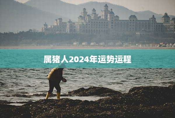 属猪人2024年运势运程