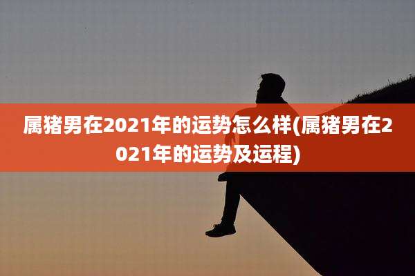 属猪男在2021年的运势怎么样(属猪男在2021年的运势及运程)