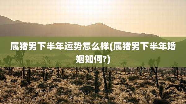 属猪男下半年运势怎么样(属猪男下半年婚姻如何?)