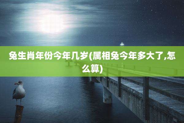 兔生肖年份今年几岁(属相兔今年多大了,怎么算)