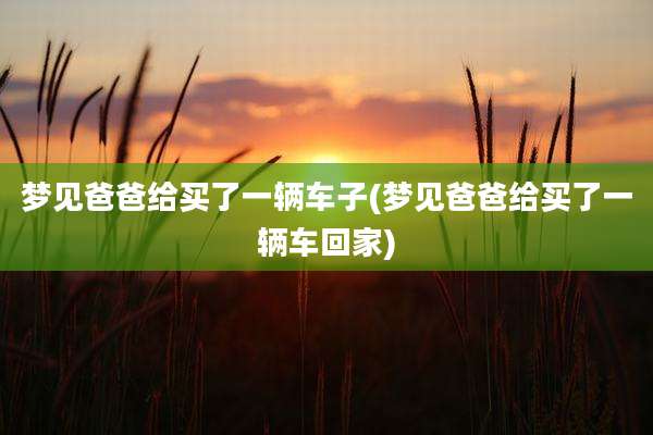 梦见爸爸给买了一辆车子(梦见爸爸给买了一辆车回家)